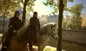 Utrechtse Heuvelrug : Met je paard bij ons te gast